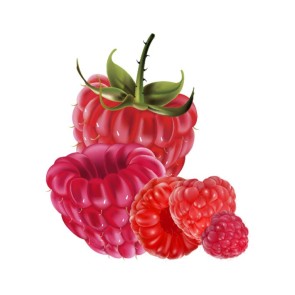 Mellow Dew aroma Raspberry 10 ml